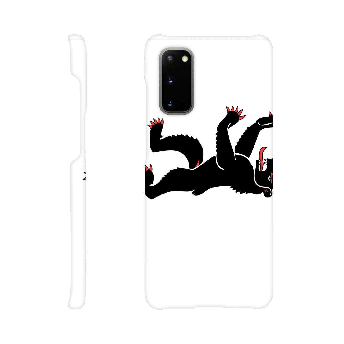 Coque Appenzell Rhodes-Intérieures - Slim Case