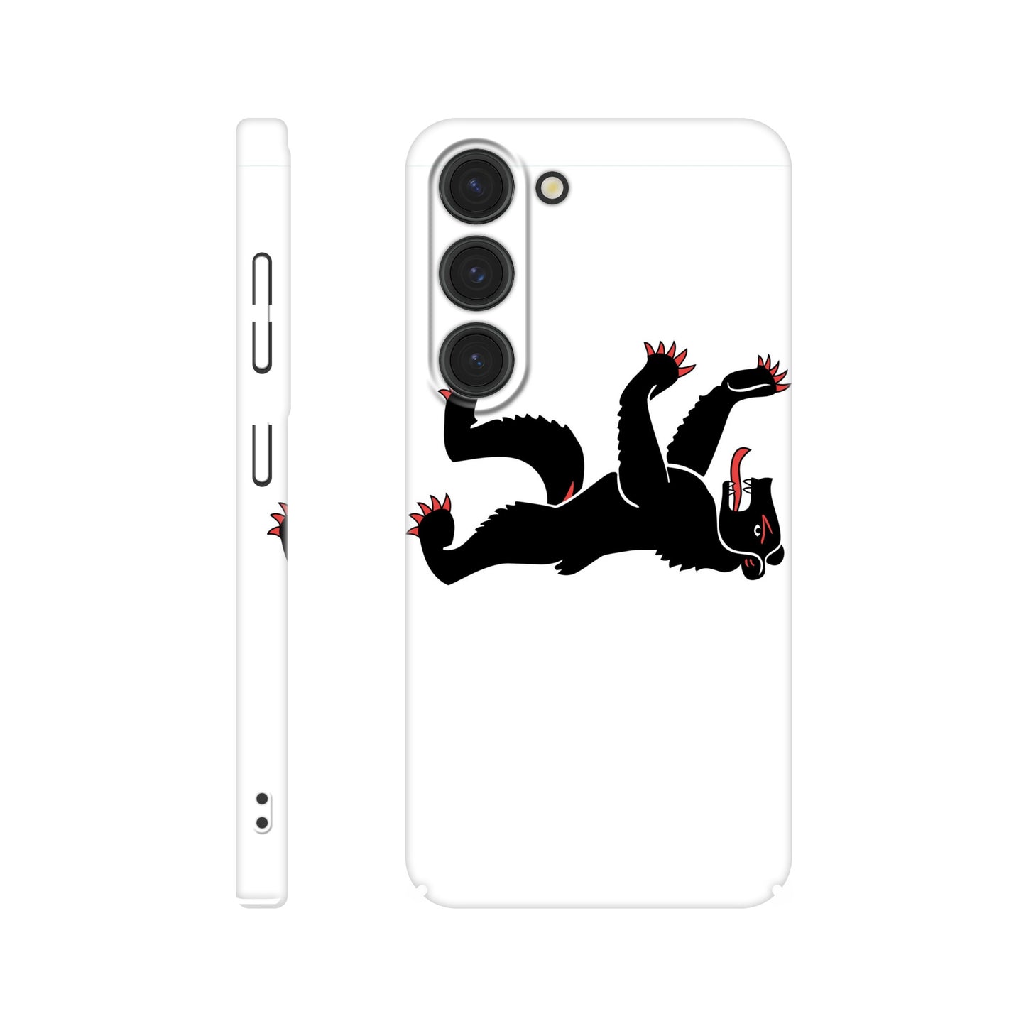 Coque Appenzell Rhodes-Intérieures - Slim Case