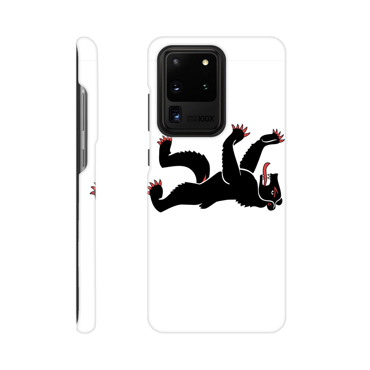 Coque Appenzell Rhodes-Intérieures - Slim Case