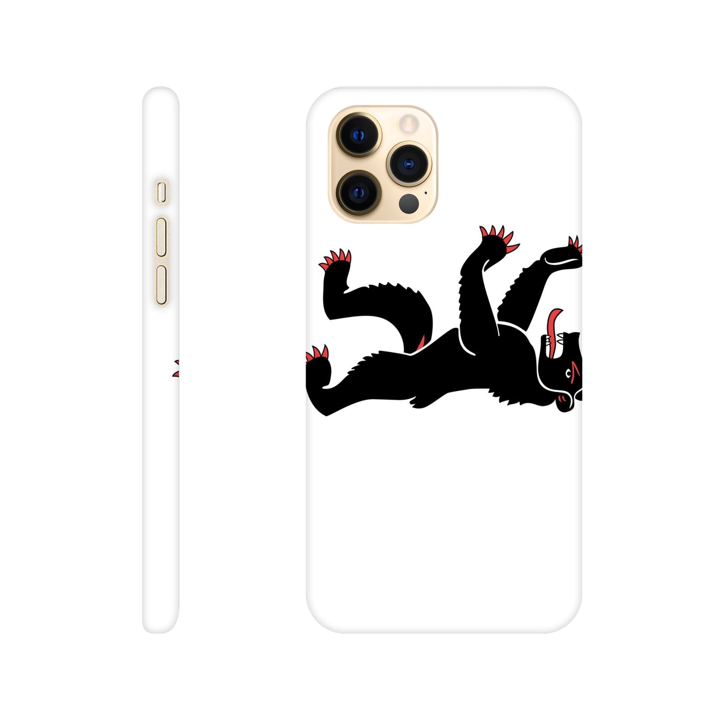 Coque Appenzell Rhodes-Intérieures - Slim Case