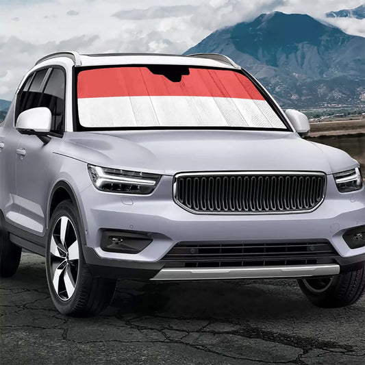 Pare-soleil pour voiture - Drapeau Solothurn