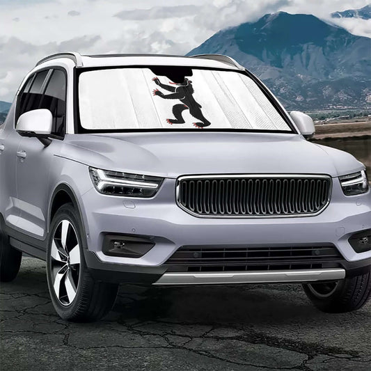 Pare-soleil pour voiture - Drapeau Appenzell Innerrhoden