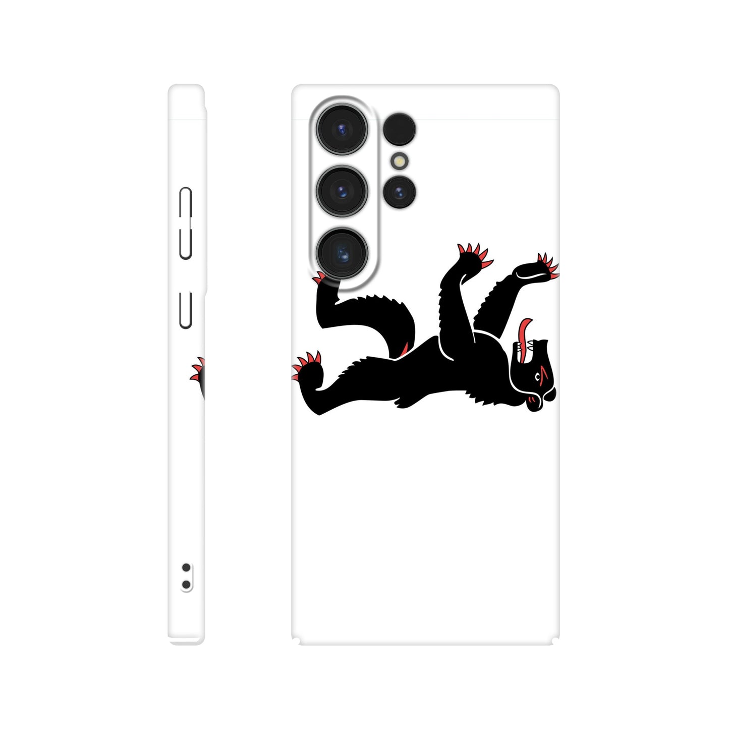 Coque Appenzell Rhodes-Intérieures - Slim Case