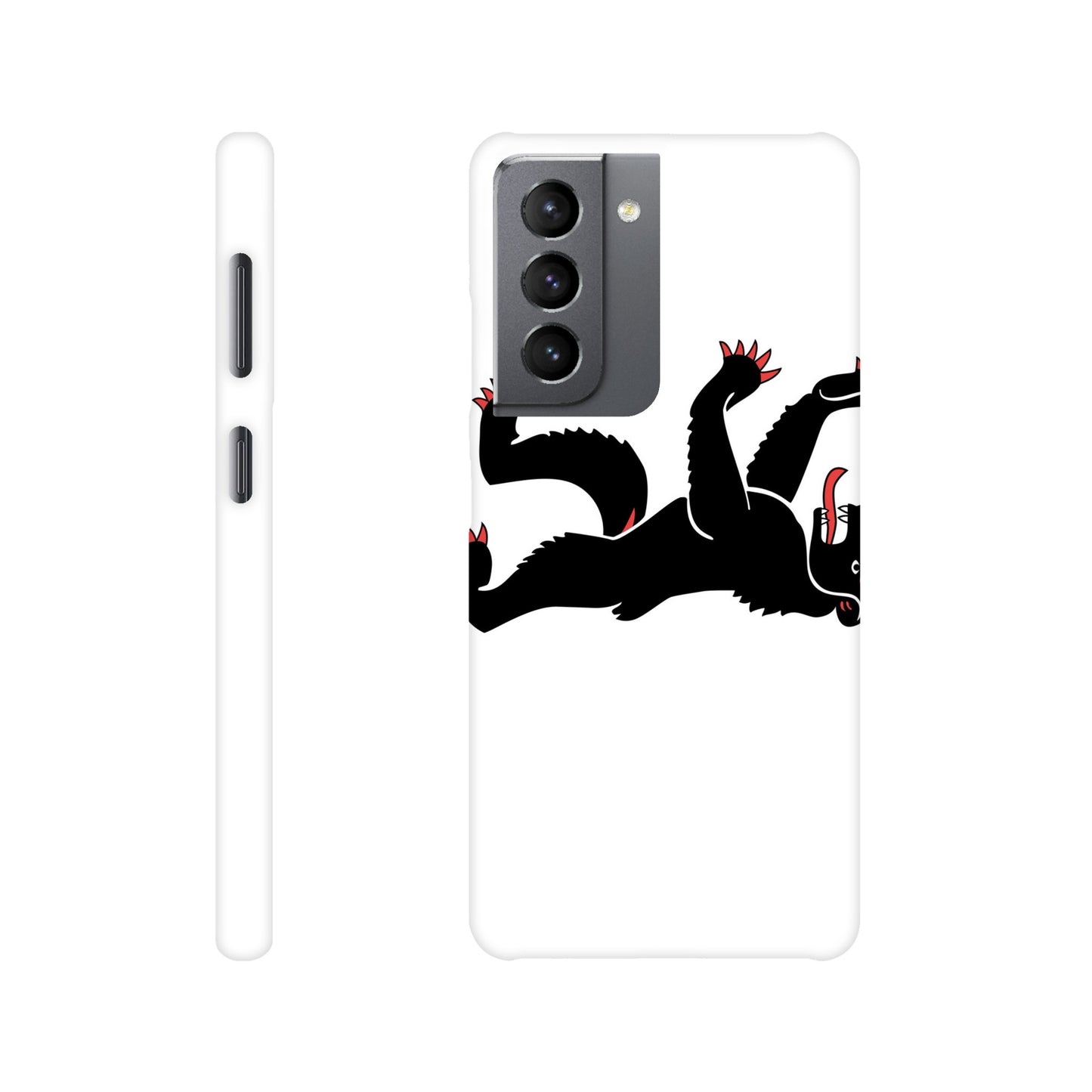 Coque Appenzell Rhodes-Intérieures - Slim Case