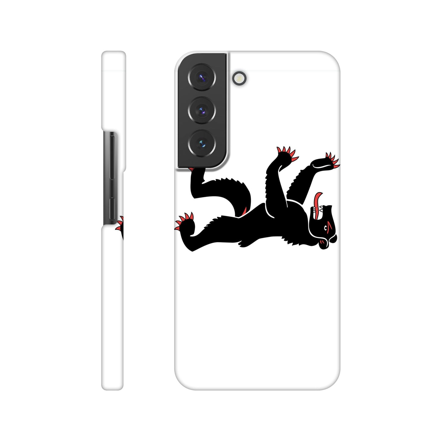 Coque Appenzell Rhodes-Intérieures - Slim Case