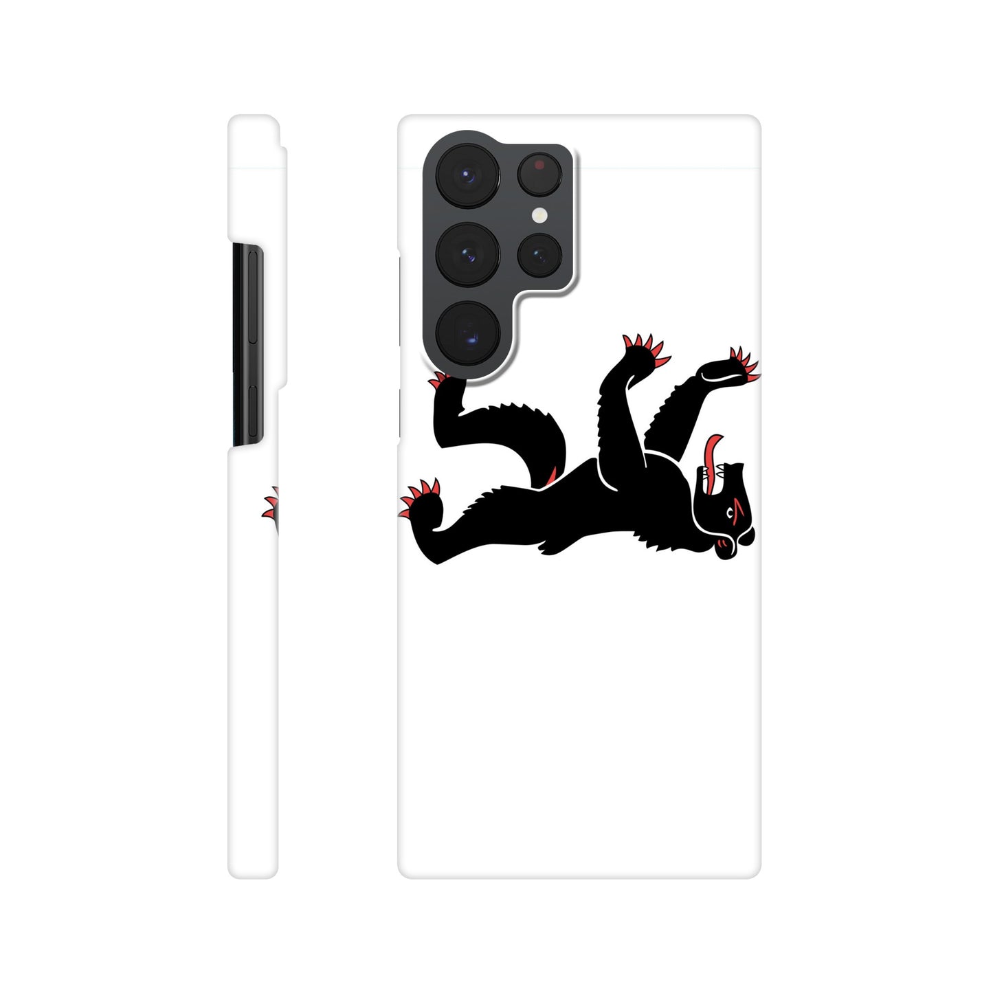 Coque Appenzell Rhodes-Intérieures - Slim Case