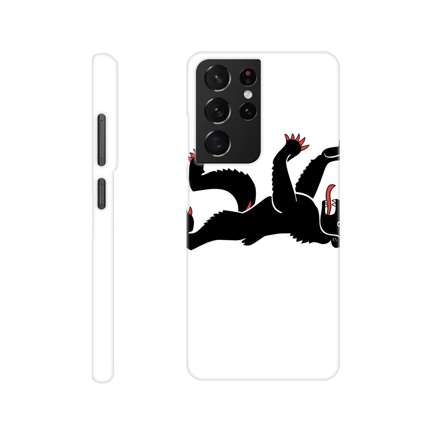Coque Appenzell Rhodes-Intérieures - Slim Case