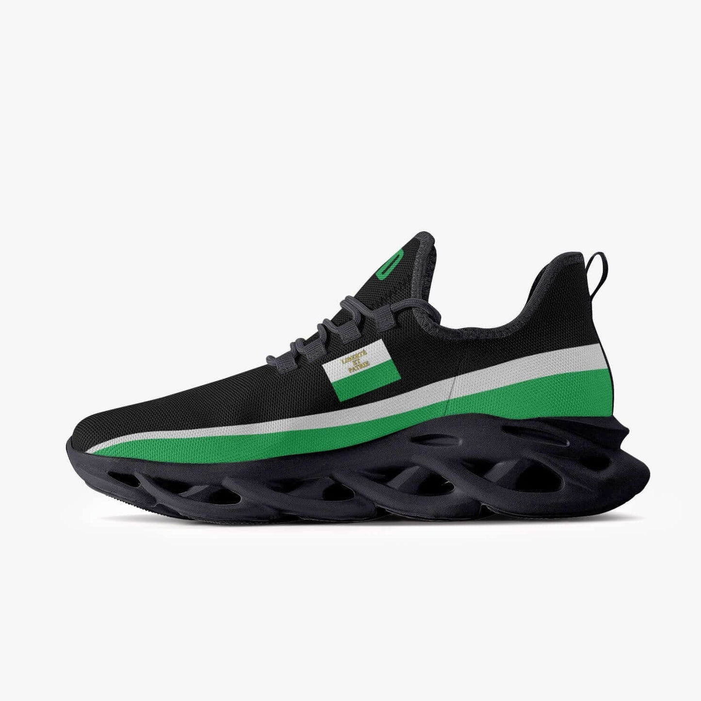 Sneakers Vaud noir - Hommes Femmes