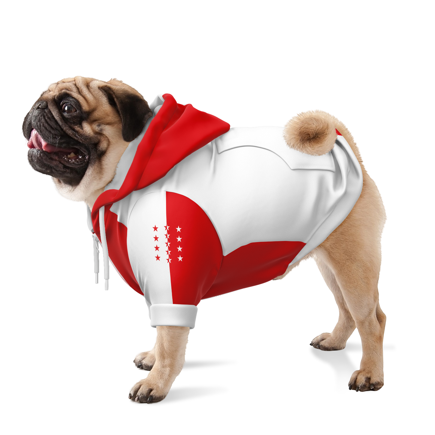 Sweat à capuche zippé pour chiens | Valais