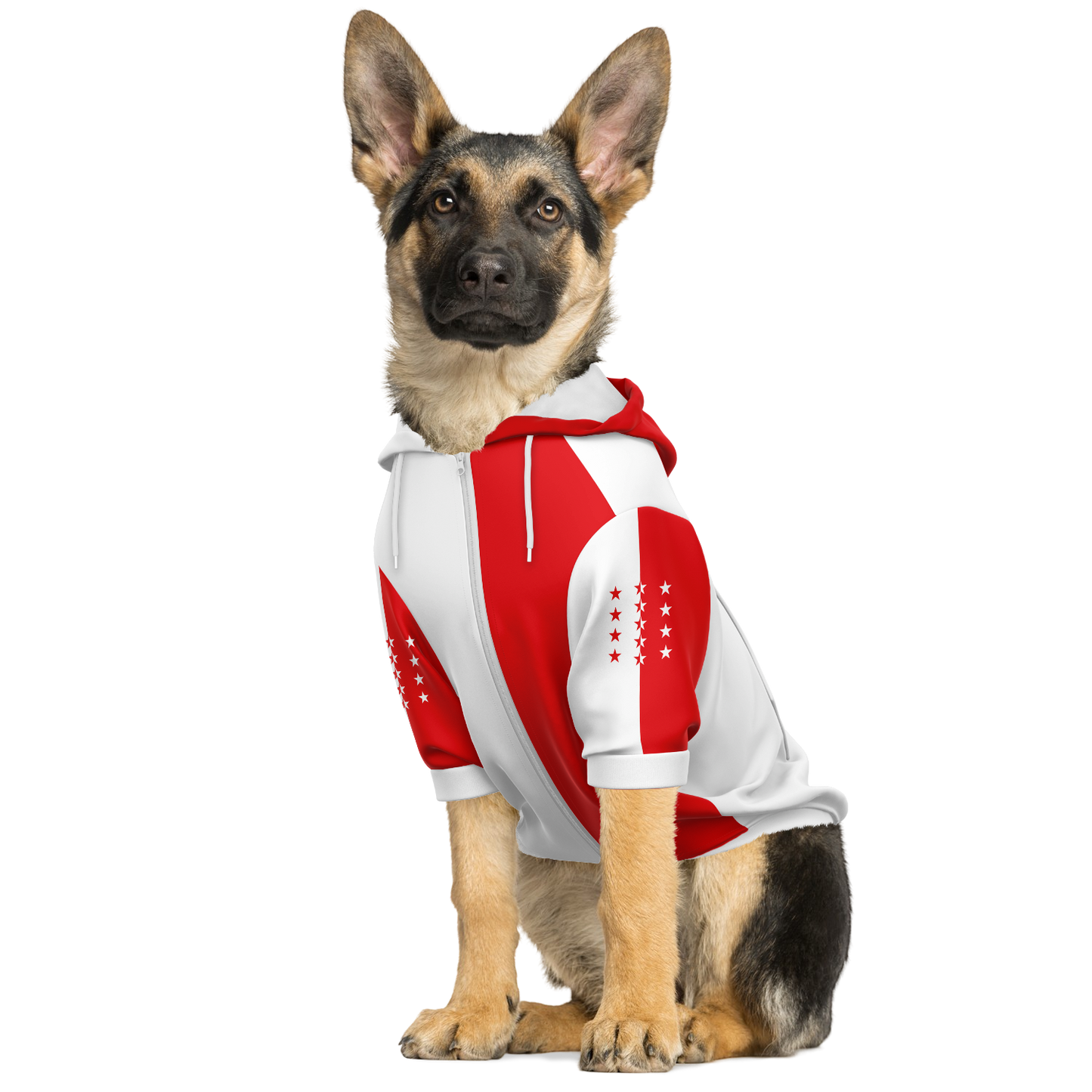 Sweat à capuche zippé pour chiens | Valais