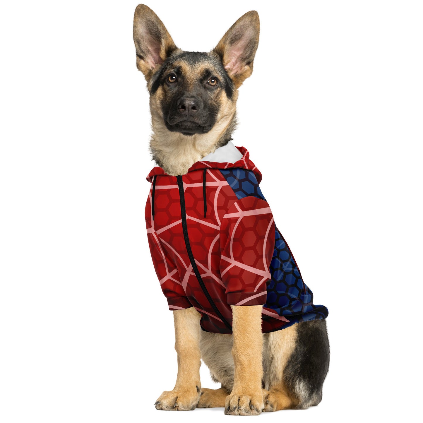 Kapuzenpulli mit Reißverschluss für Hunde | Spinnenhund