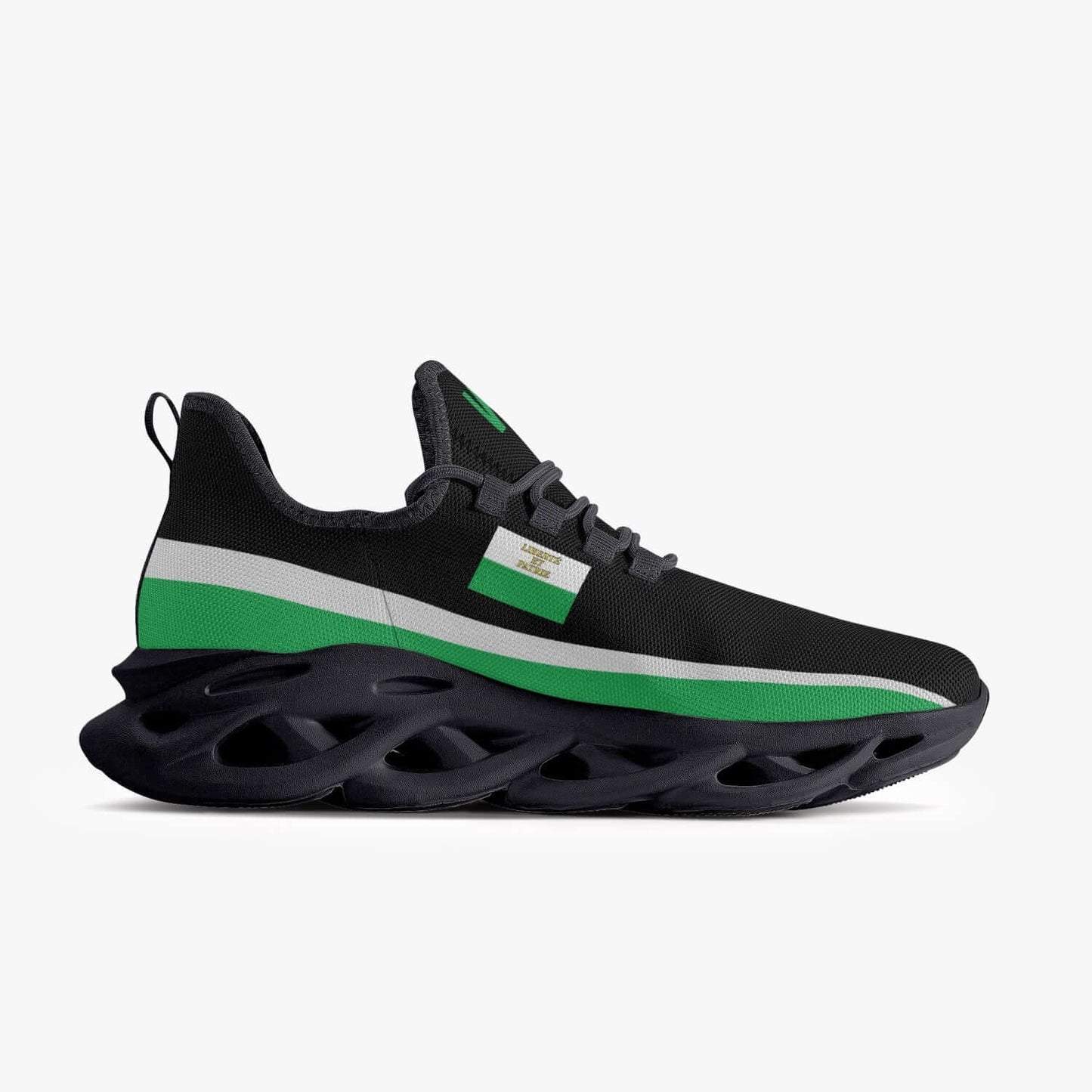Sneakers Vaud noir - Hommes Femmes